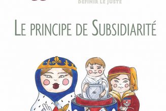 Le principe de subsidiarité