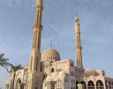 El-Azhar, entre politique et religion