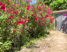 Des nouvelles du film “Promesse”