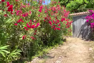 Des nouvelles du film “Promesse”