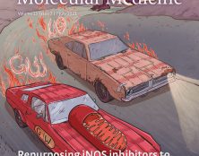 L’institut Pasteur publie une étude plaidant pour l’efficacité de l’ivermectine