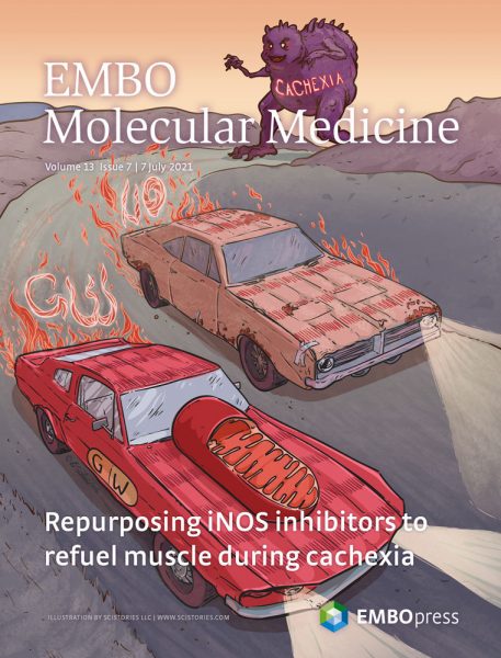 L’institut Pasteur publie une étude plaidant pour l’efficacité de l’ivermectine