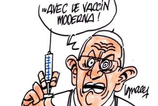 FSSPX : De Summorum pontificum à Traditionis custodes, ou de la réserve au zoo