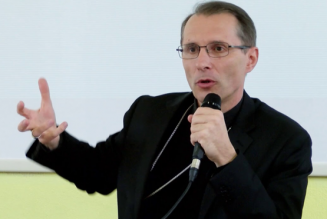 Mgr Brouwet déplacé à Nîmes