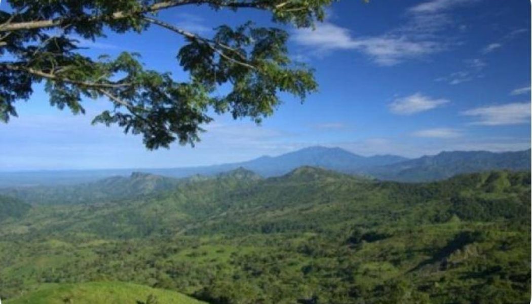 Le Campus du Christ-Roi