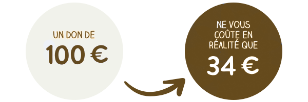 Le Salon Beige