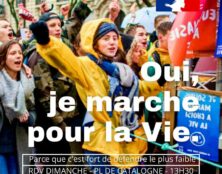 Patrice Martineau : Supplique pour un armistice