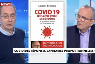 Laurent Toubiana : «Lorsqu’on regarde les autres épidémies vécues en France, celle-ci est absolument bénigne»