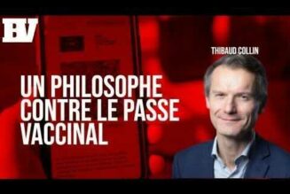 Thibaud Collin : « Le gouvernement alimente une spirale de la peur dans une véritable fuite en avant »