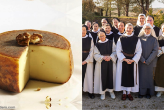 Objectif 1 tonne de fromage au noix pour l’abbaye d’Échourgnac, livré avant Pâques