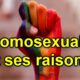 L’homosexualité, ses raisons