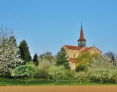 « Éveiller le printemps » : Aider au verger de l’Abbaye (du 7 au 12 février)