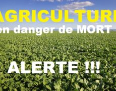 Agriculture en Danger !